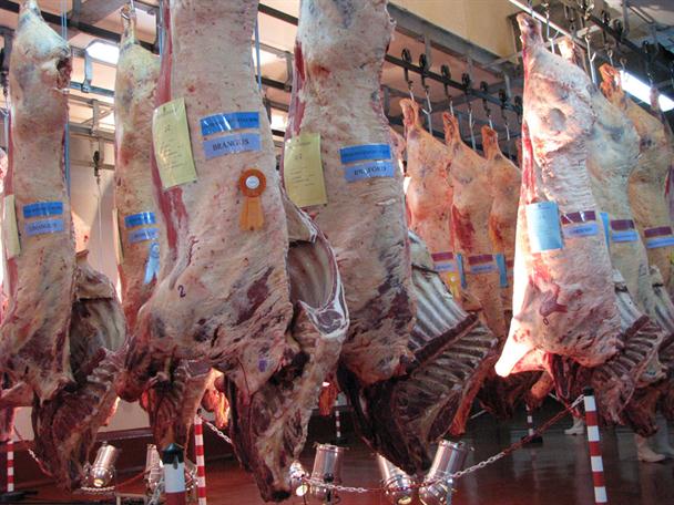 Carne de exportación