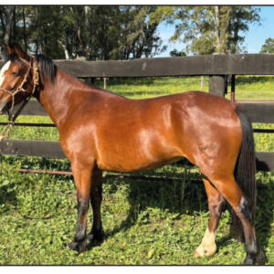 Lote 14 - Fortín Frontera Resuelta