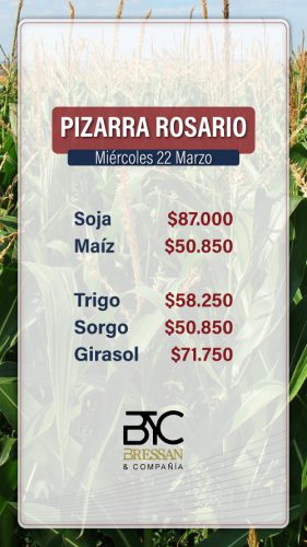 Pizarra-Rosario-2023 (2)